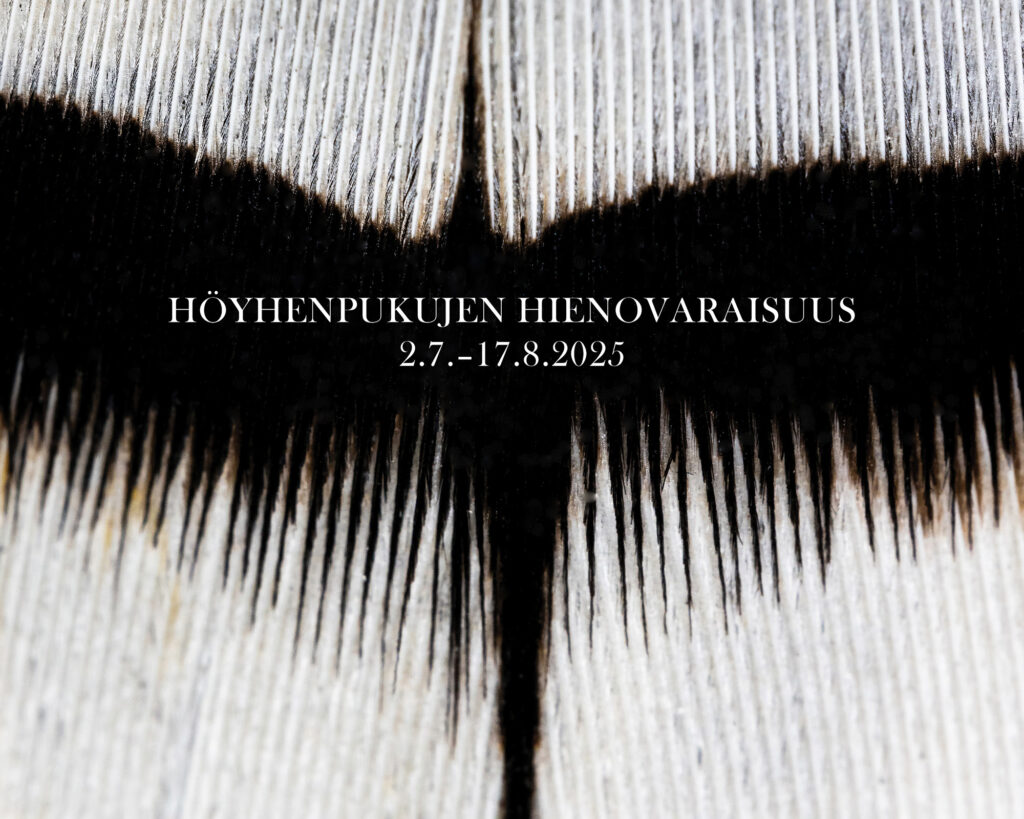 Valokuvanäyttely höuyhenpukujen hienovaraisuus