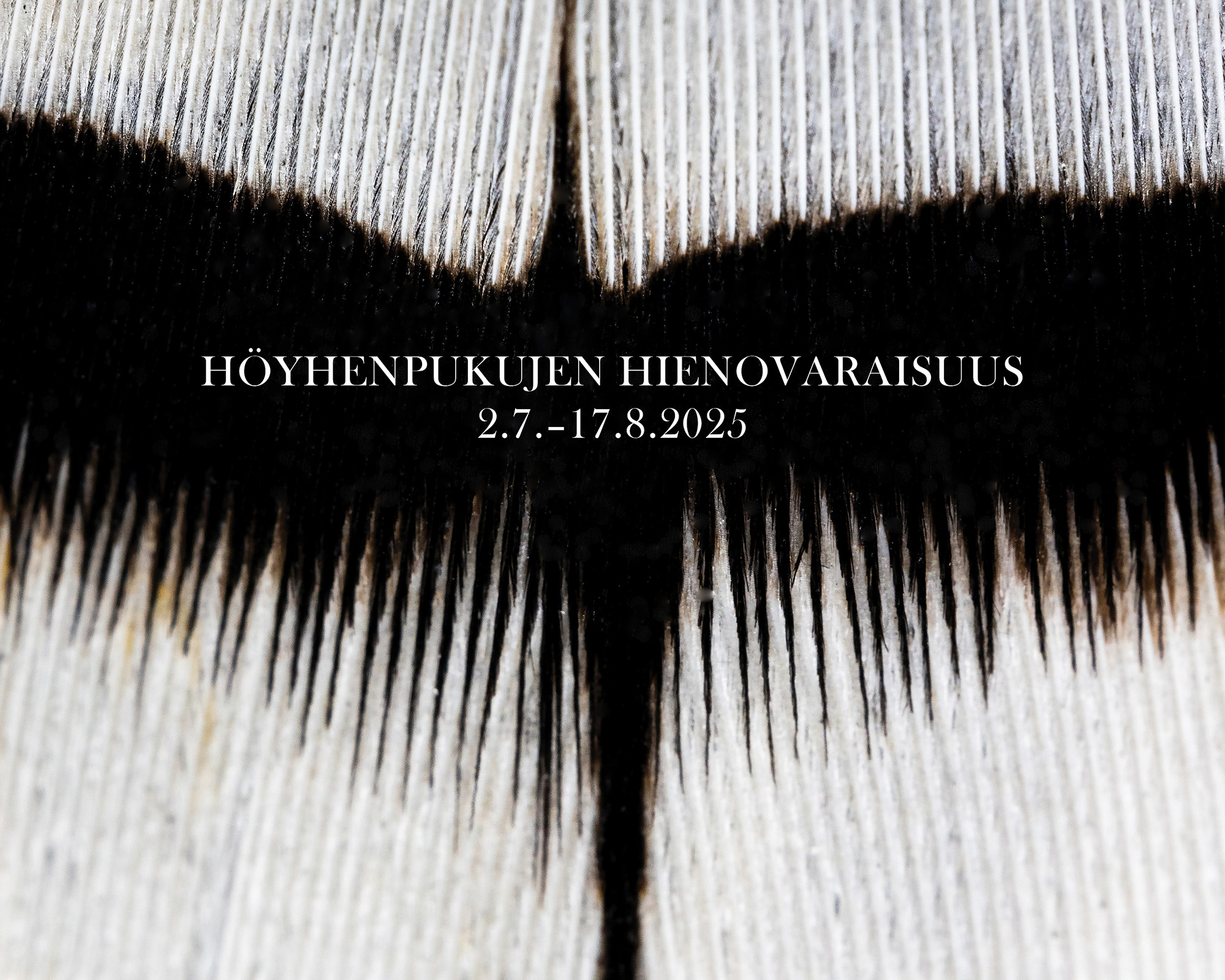 Valokuvanäyttely höuyhenpukujen hienovaraisuus