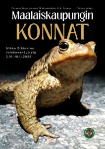 Maalaiskaupungin konnat